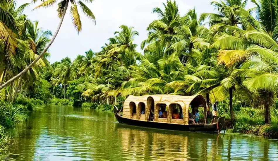 Best of Kerala Tour Package 6 Days – Munnar Thekkady Alleppey Trip