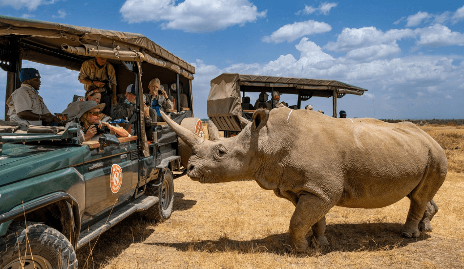 Lake Manyara | Ngorongoro | Amboseli | Nanyuki | Naivasha | Masai Mara | Nairobi