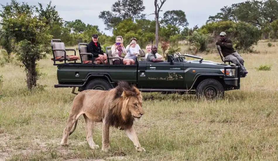 South Africa With Victoria Falls and Kruger National Park